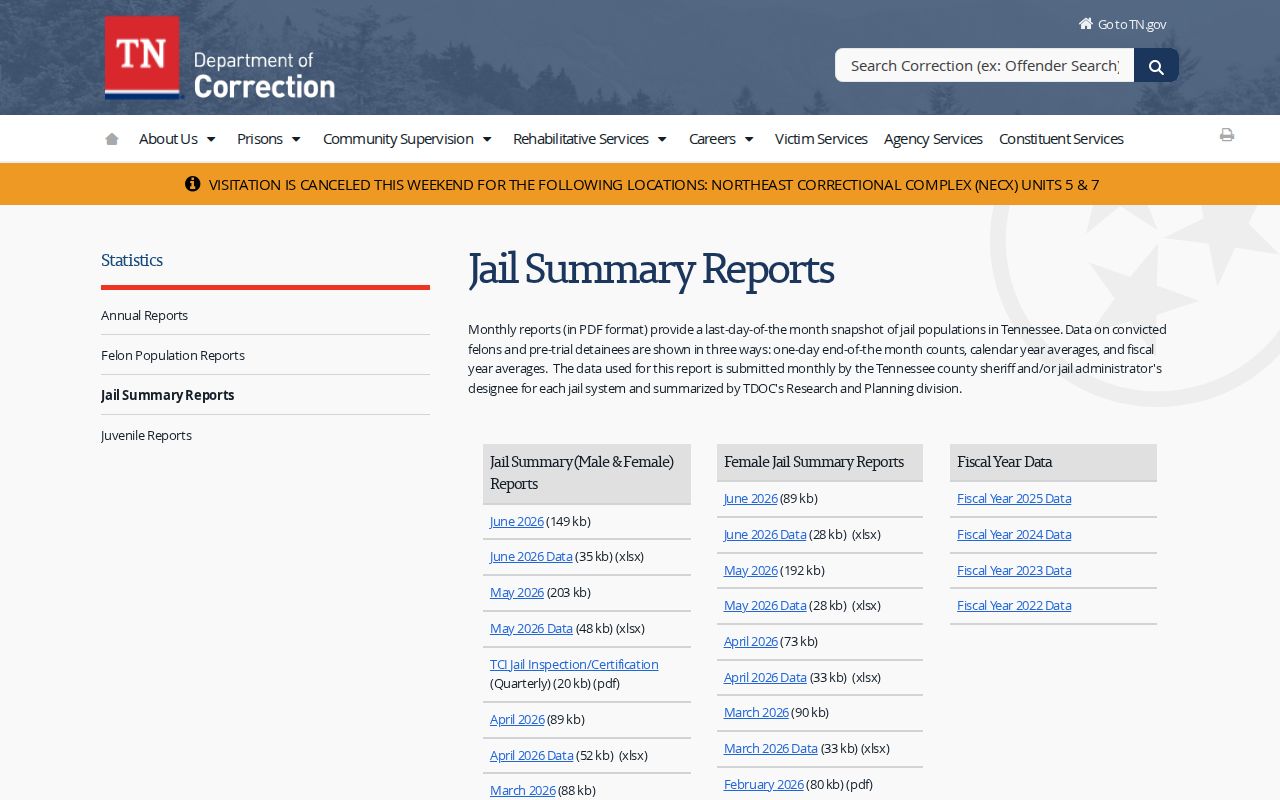 Lewis County Jail release records context in TDOC jail summary reports